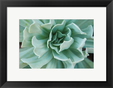 Framed Topsy Turvy Print