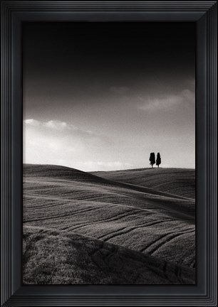 Framed Late Afternoon Sunset on Twin Cypresses Print