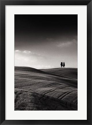 Framed Late Afternoon Sunset on Twin Cypresses Print