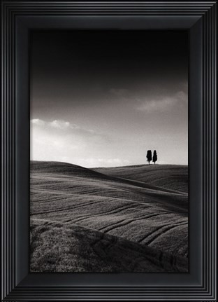 Framed Late Afternoon Sunset on Twin Cypresses Print