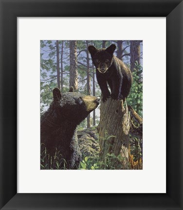 Framed Stump Jumper Print