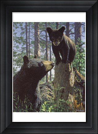 Framed Stump Jumper Print