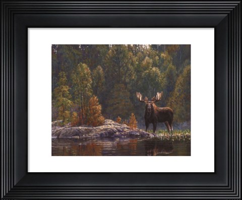 Framed North Country Moose Print