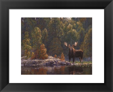 Framed North Country Moose Print