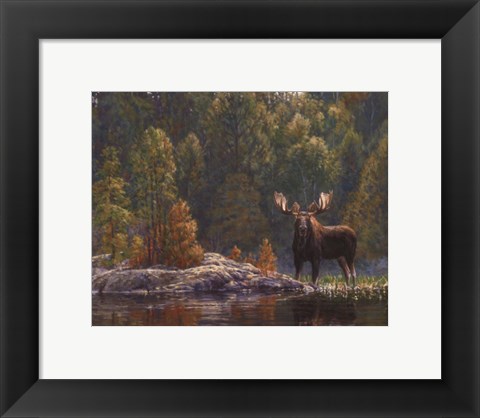 Framed North Country Moose Print