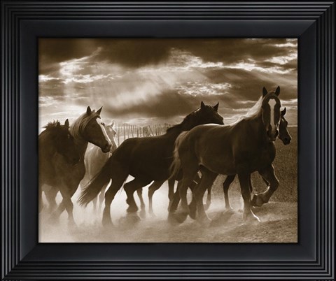 Framed Running Horses &amp; Sunbeams Print