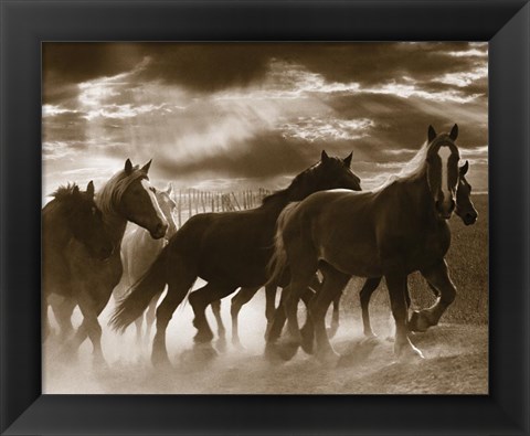 Framed Running Horses &amp; Sunbeams Print