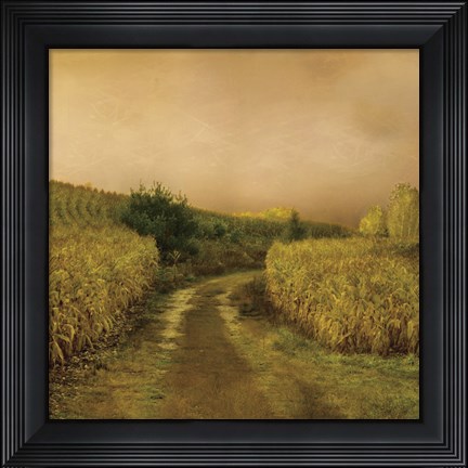 Framed Sunset Cornfield Print
