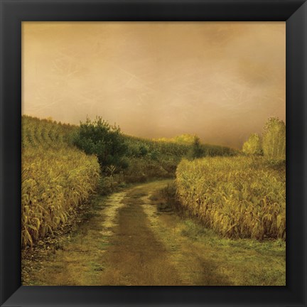 Framed Sunset Cornfield Print