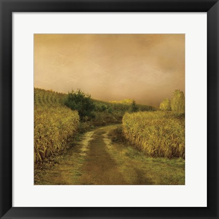 Framed Sunset Cornfield Print