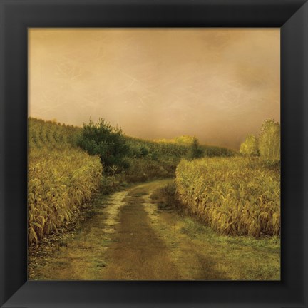 Framed Sunset Cornfield Print