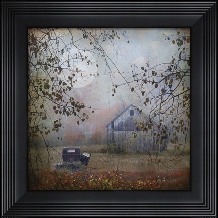 Framed Seen Better Days Print