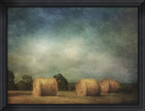 Framed Hay Rolls Print