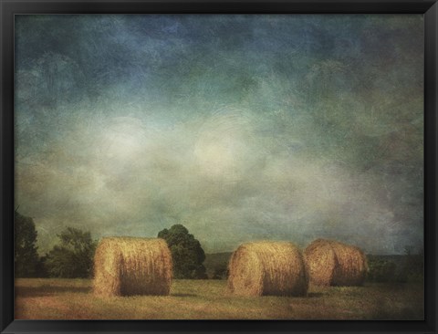 Framed Hay Rolls Print