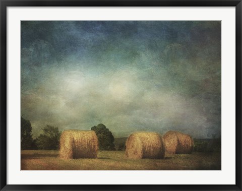Framed Hay Rolls Print