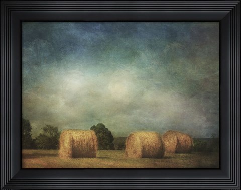 Framed Hay Rolls Print