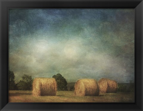 Framed Hay Rolls Print