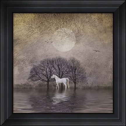 Framed White Horse in Pond Print