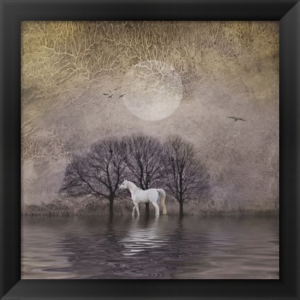 Framed White Horse in Pond Print