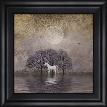 Framed White Horse in Pond Print