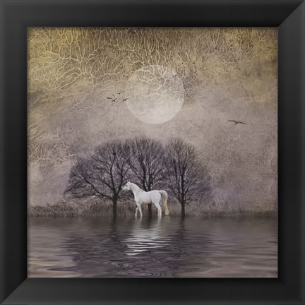 Framed White Horse in Pond Print