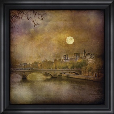 Framed Pont Louis Phillipe Print