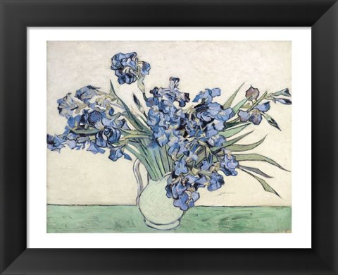 Framed Irises Print