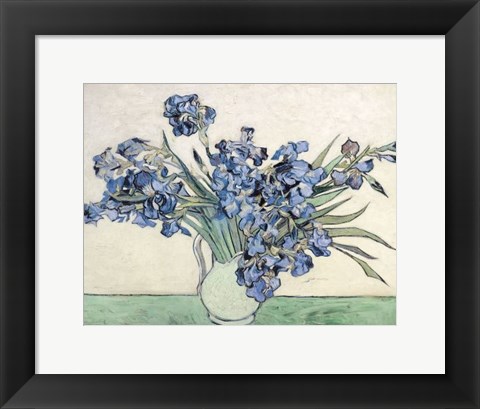 Framed Irises Print