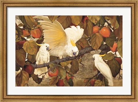 Framed Persimmons &amp; Cockatoos Print