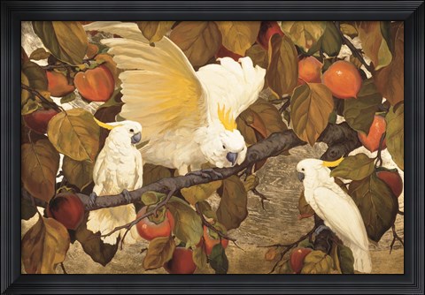 Framed Persimmons &amp; Cockatoos Print