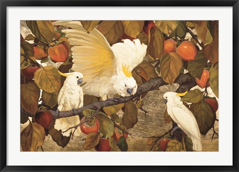 Framed Persimmons &amp; Cockatoos Print