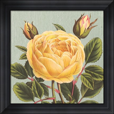 Framed Yellow Rose Print