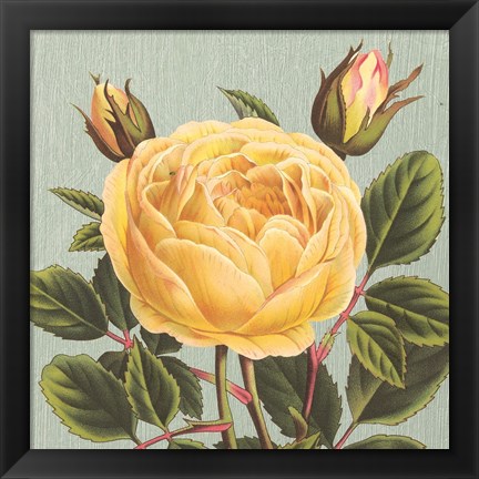 Framed Yellow Rose Print