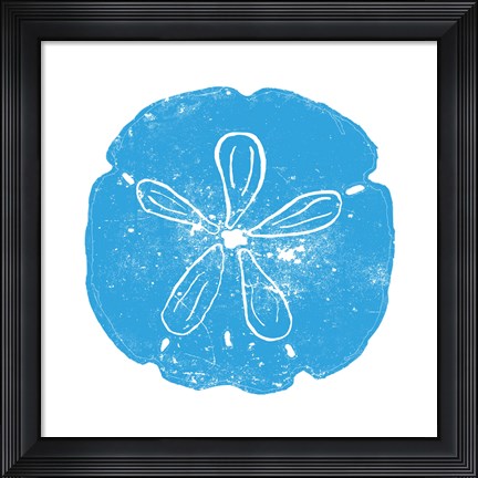 Framed Blue Sand Dollar Print