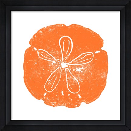 Framed Orange Sand Dollar Print