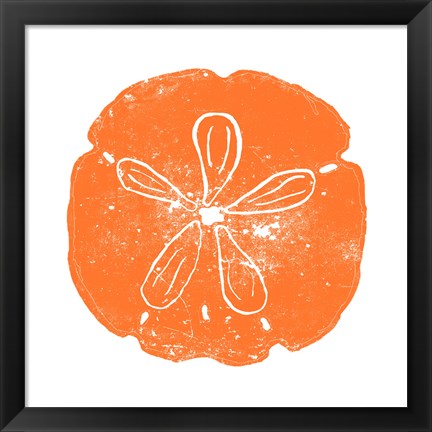 Framed Orange Sand Dollar Print