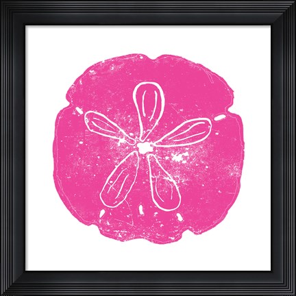 Framed Pink Sand Dollar Print