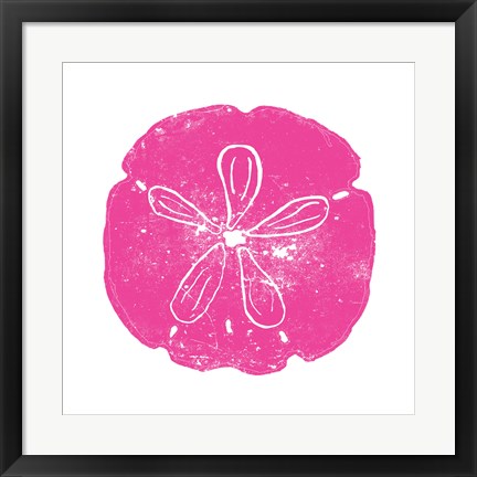 Framed Pink Sand Dollar Print
