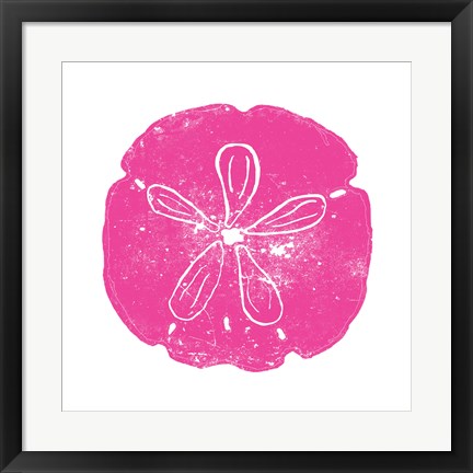 Framed Pink Sand Dollar Print