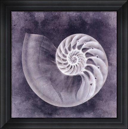 Framed Ocean Blue IV Print