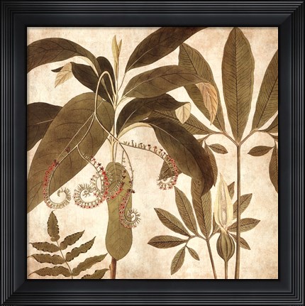 Framed Palm Persuasion I Print