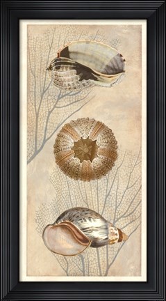Framed Ocean Companions II Print