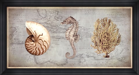 Framed Sea Treasures I Print