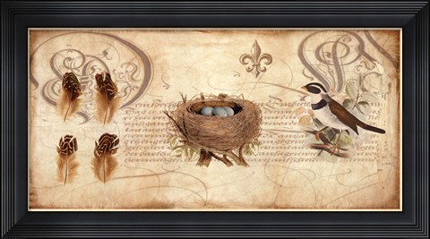 Framed Nesting I Print