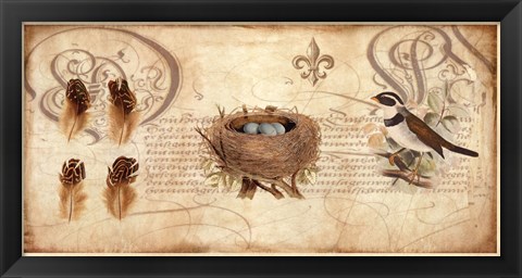 Framed Nesting I Print