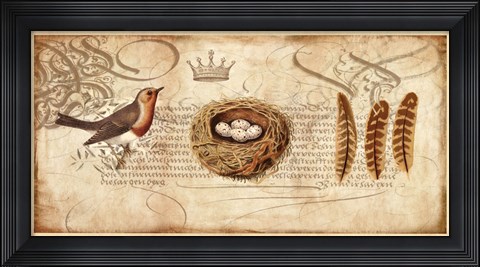 Framed Nesting II Print