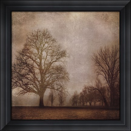 Framed Morning Meditation I Print