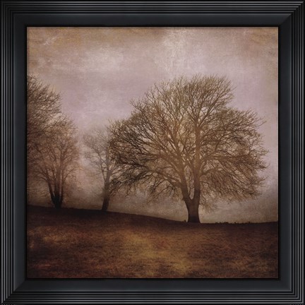 Framed Morning Meditation II Print