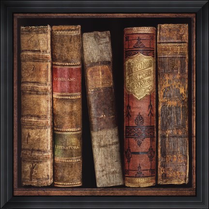 Framed In The Library I Print
