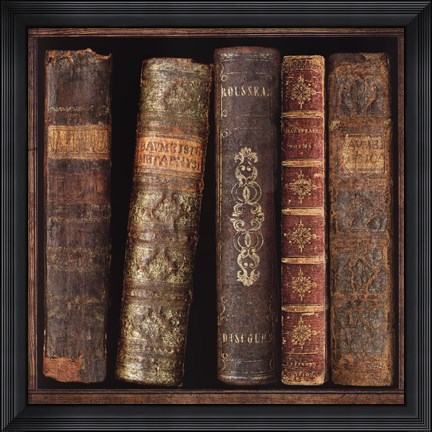 Framed In The Library II Print